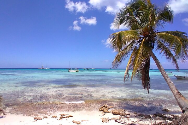 Saona Island Deluxe with Private Transfer (Min 8 People) - Photo 1 of 17